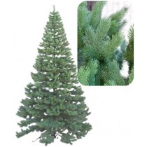 Ялина Буковельська Лита 2,5м (блакитна, зелена)